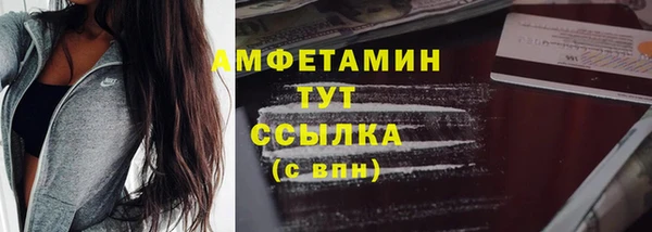 гашик Няндома