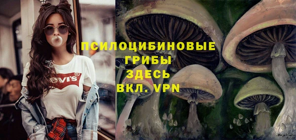 спиды Алзамай